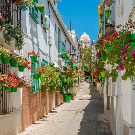 Alexis Estepona